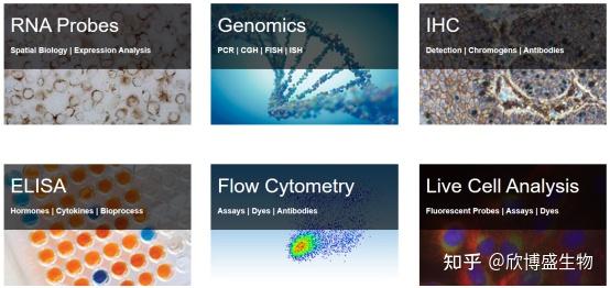 enzo-life-sciences-enzo