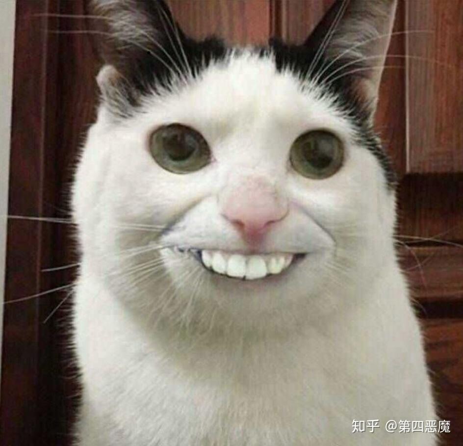 如何评价英雄连这款游戏?你在游戏里做过什么