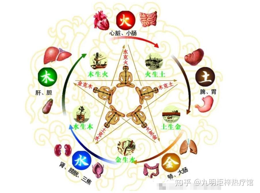 中医五行与人体五脏的关系（建议收藏） - 知乎