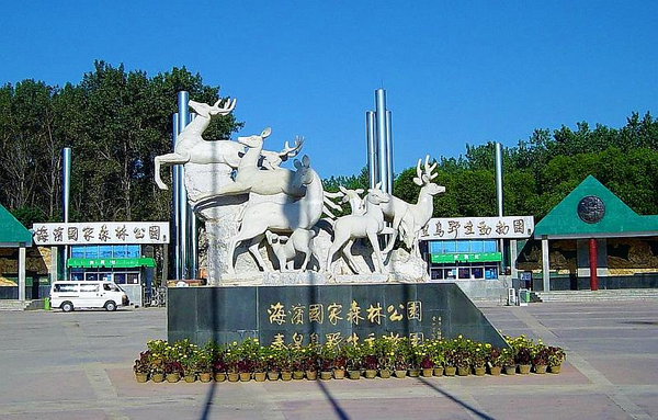 六,西港嘉园 | 春季出游必去之地七,渔岛 | 泡温泉/看大海/赏天竺葵的