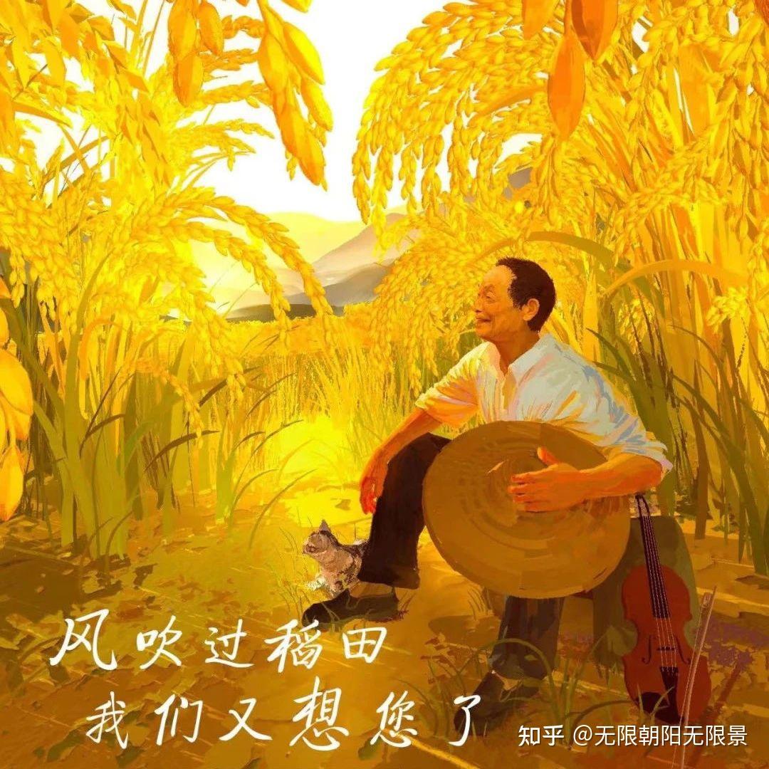 世纪谎言：中国不吃杂交水稻/杂交水稻无用论 - 知乎
