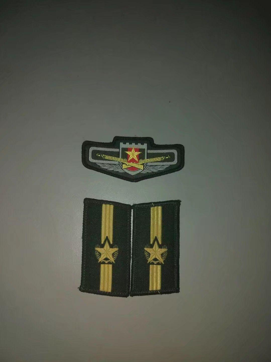 解放军常服胸标图片
