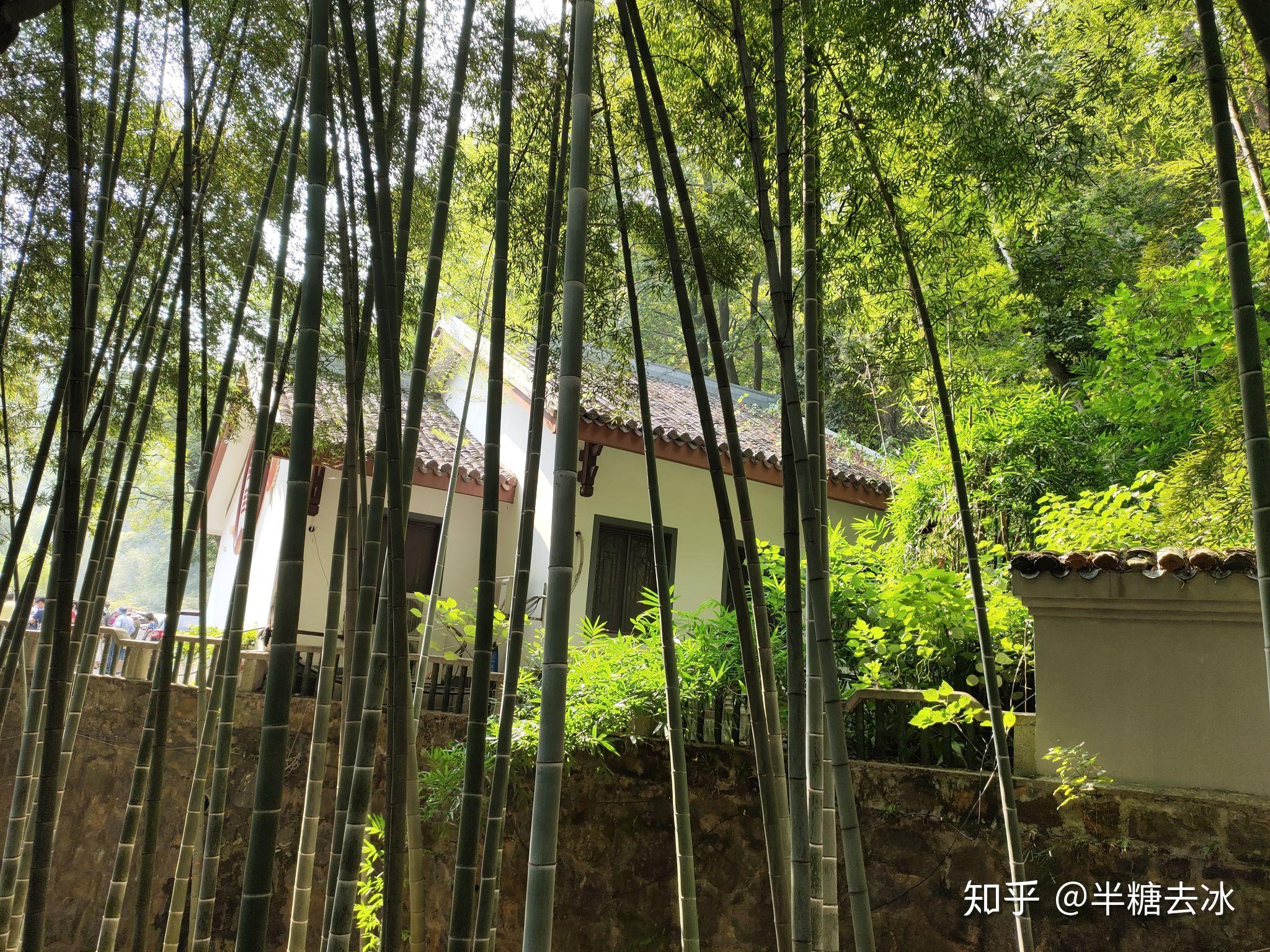 长沙旅行攻略——岳麓山 - 知乎