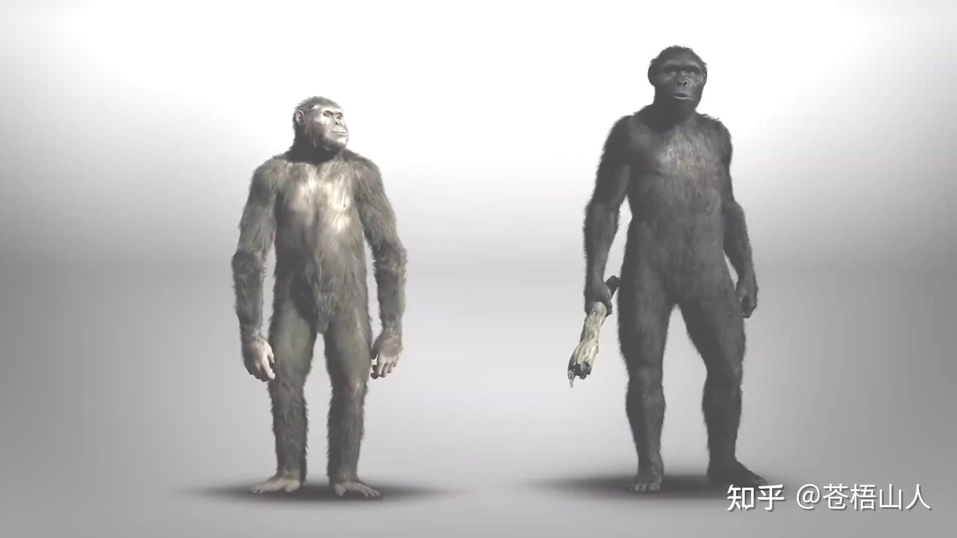 人可追溯至380万年前,最新考古dna分析发现:大约在500万年前,新近纪