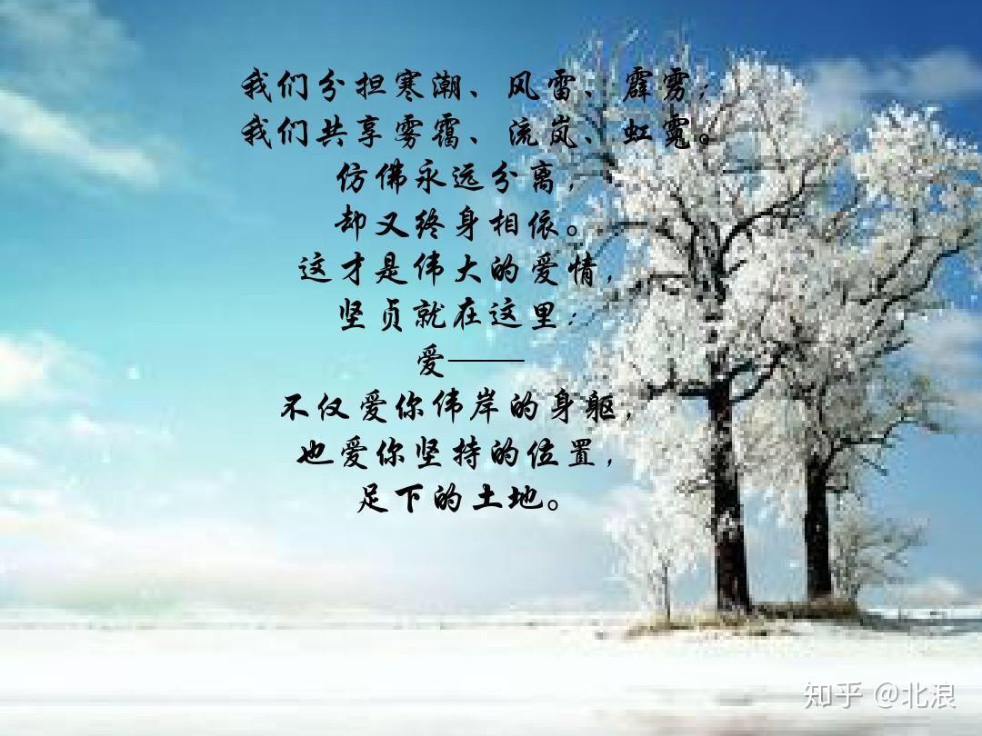 很多人对爱情迷茫这是我看过最好的答案