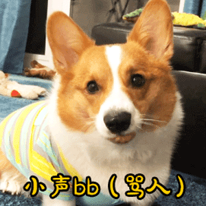 微信狗狗表情包gif可怜弱小又无助我再也不会快乐了