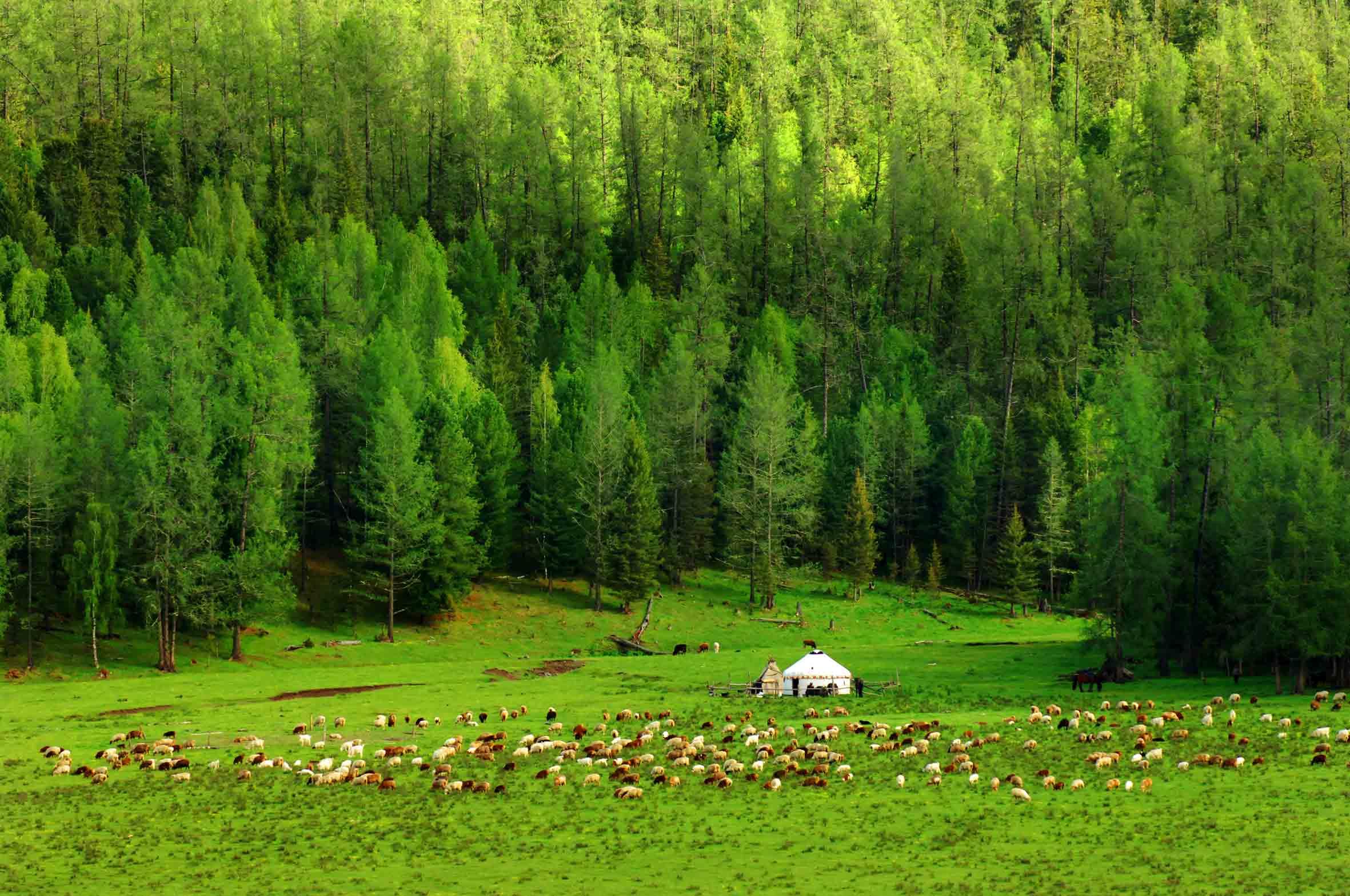 共享会计师财税分享中国32个地区股权投资税收优惠政策汇集5