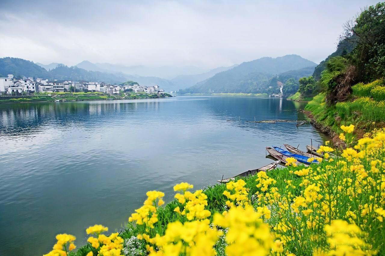 与世无争,你就伤不到元气;万事不忧,你就心底清凉