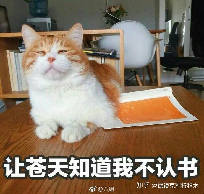 对于龙族有哪些结局是你觉得完美的?