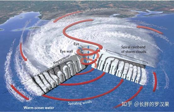 4.热带气旋:飓风和台风