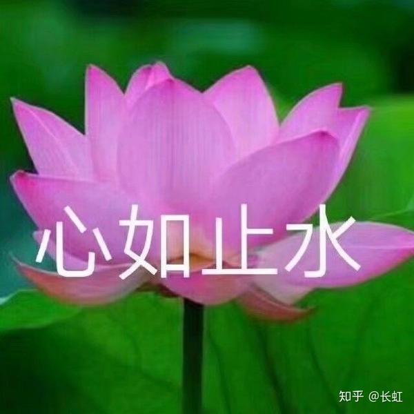 美的惨绝人寰什么意思 惨绝人寰中的人寰的意思是 惨绝人寰什么意思解释一下