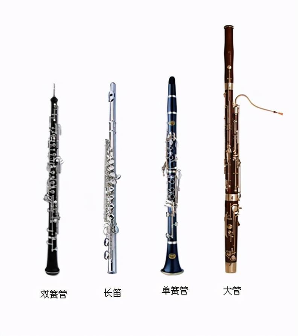 通俗古典音乐入门指南（2）——从乐器、乐队到音乐体裁 - 知乎