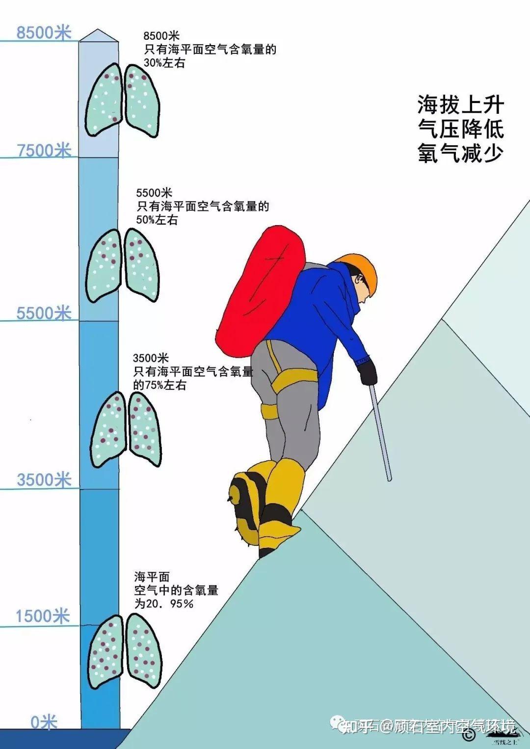 高海拔导致的高原病本质是身体缺氧 - 知乎