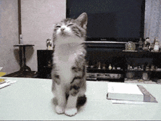 320_240gif 动态图 动图