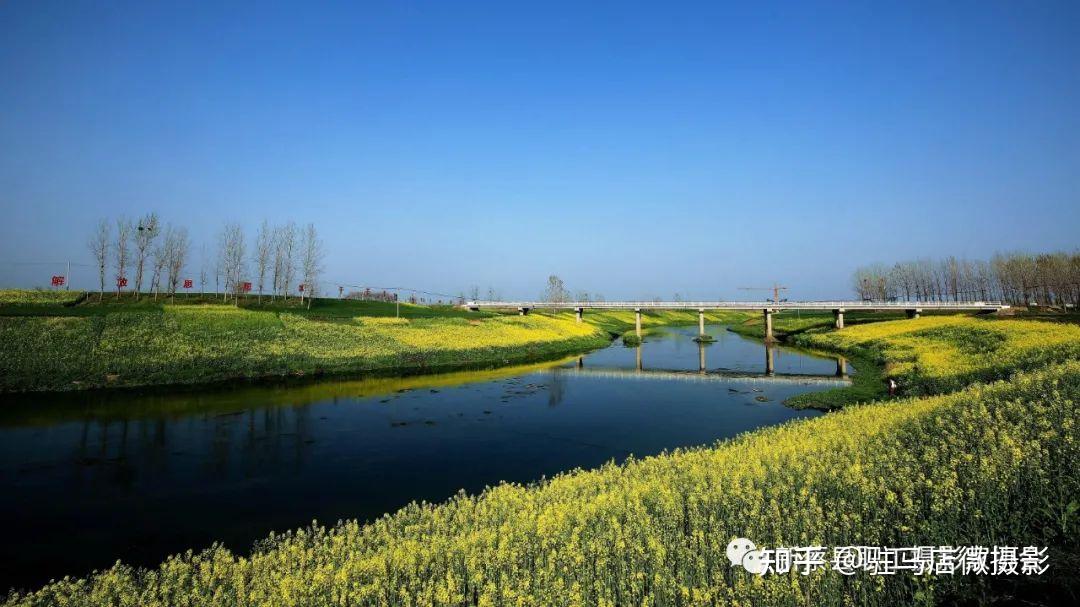 欢迎春天来新蔡