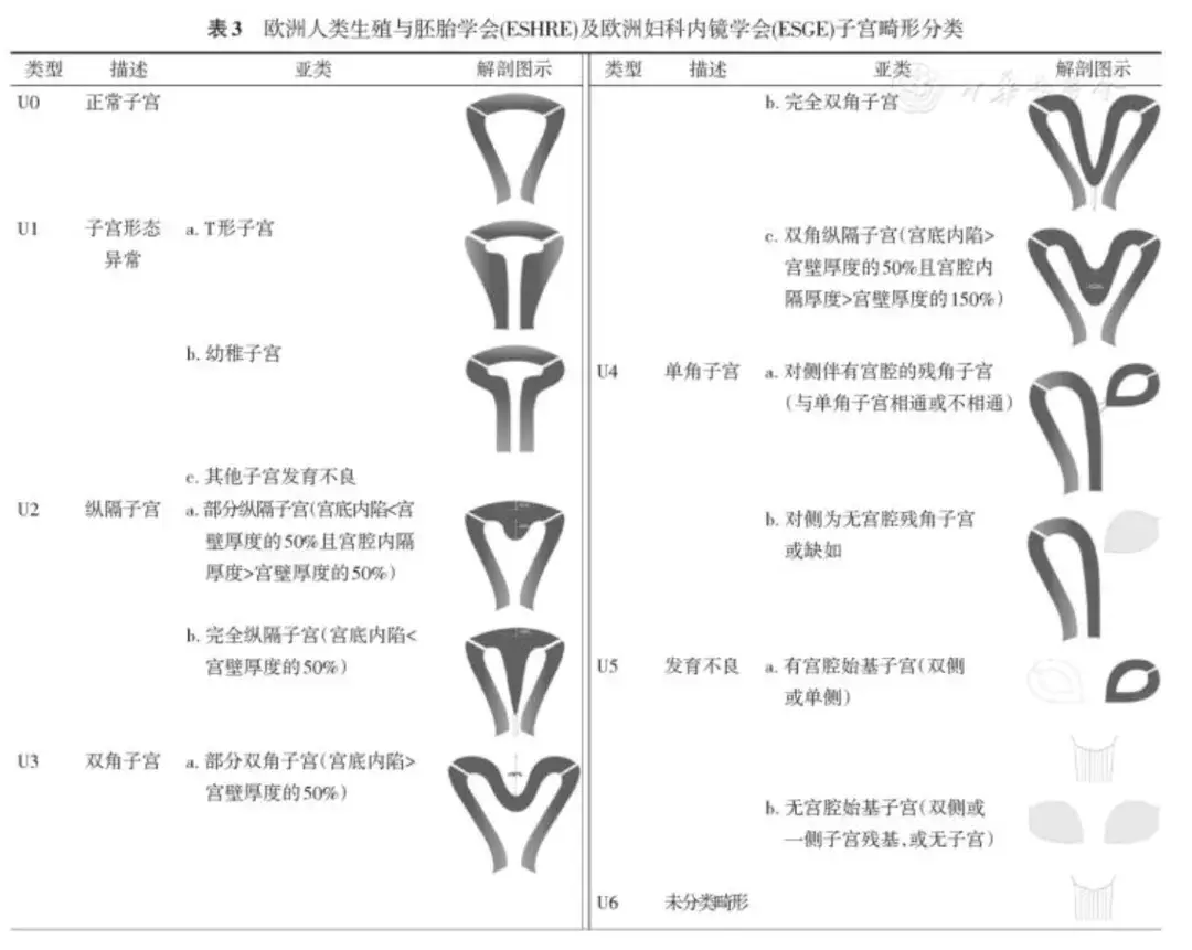 子宮畸形類型非常多,包括單角子宮(或合併殘角子宮),雙子宮,雙角子宮