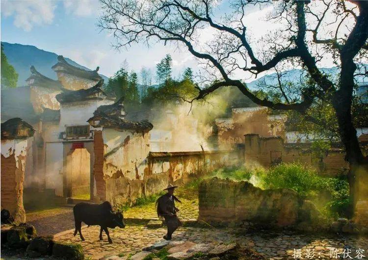 欧江帆影水墨仙都云和梯田楠溪江古堰画乡霞浦滩涂海带季摄影团