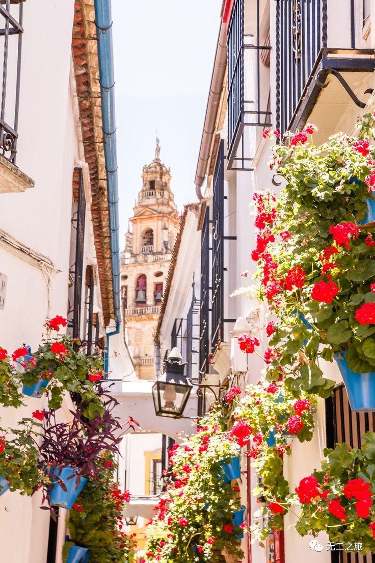 10个欧洲鲜花小镇,是你的小确丧清除机 - 知乎