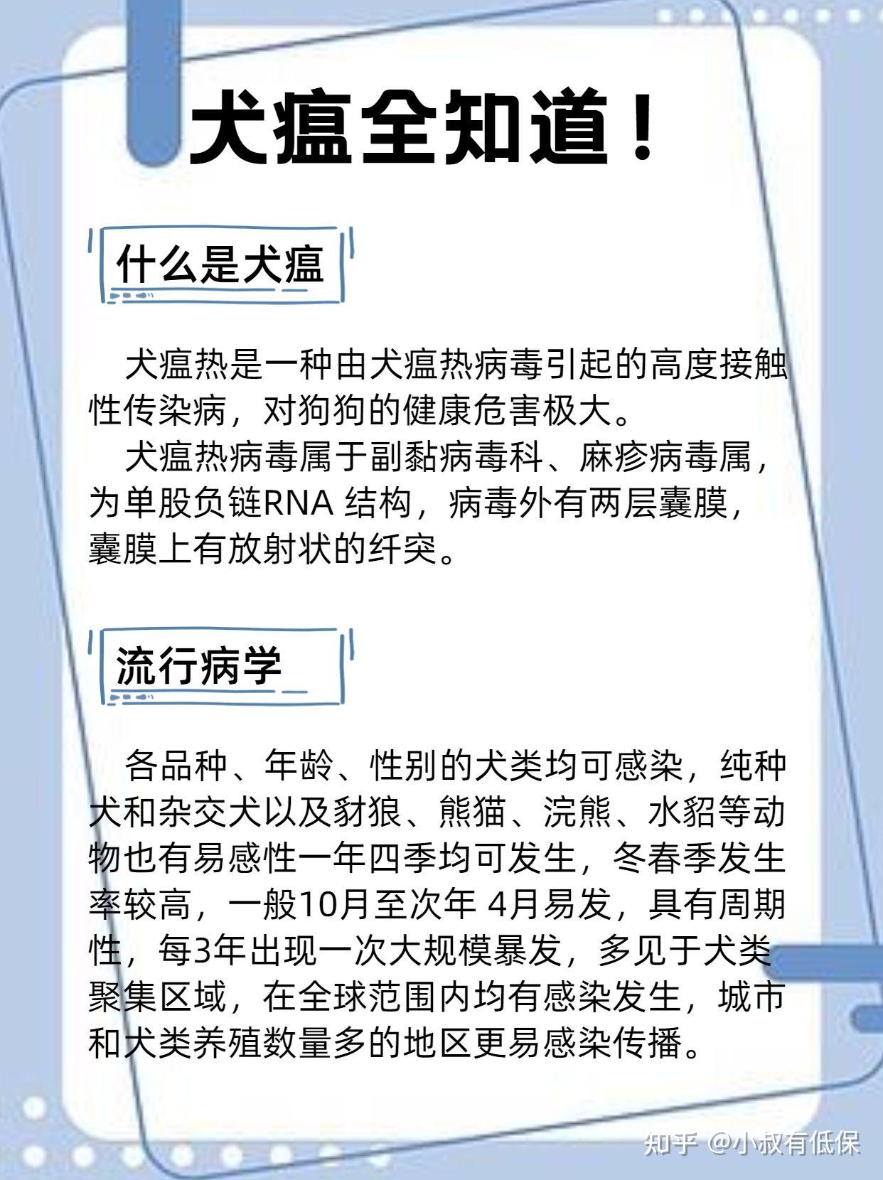 狗狗为什么会染上犬瘟