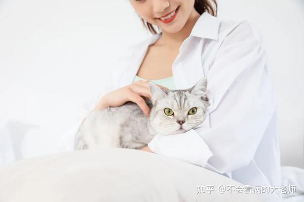 你抱猫的姿势正确吗?如何正确抱猫? - 知乎