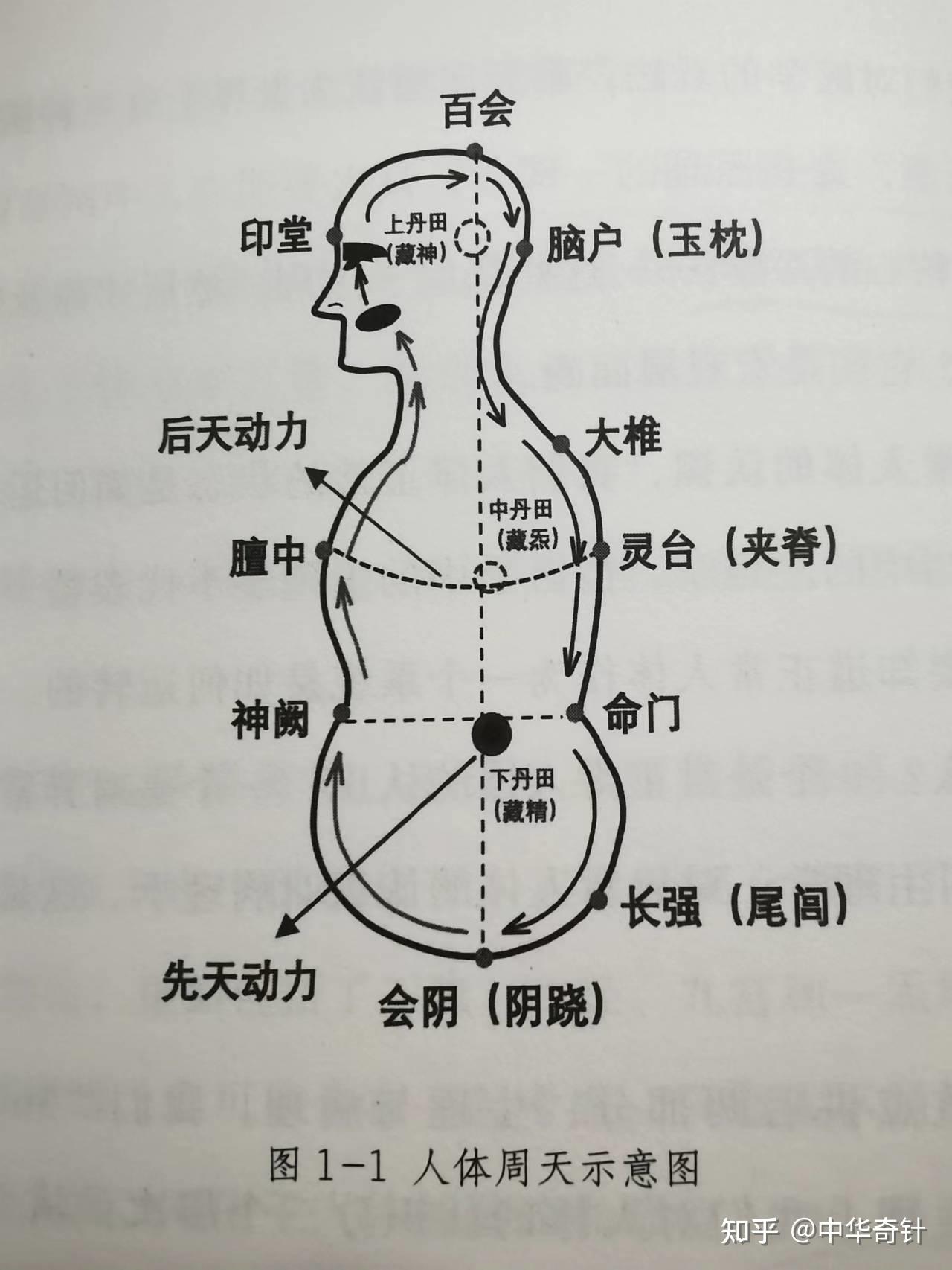 中医的理论模型之一炁三焦 - 知乎