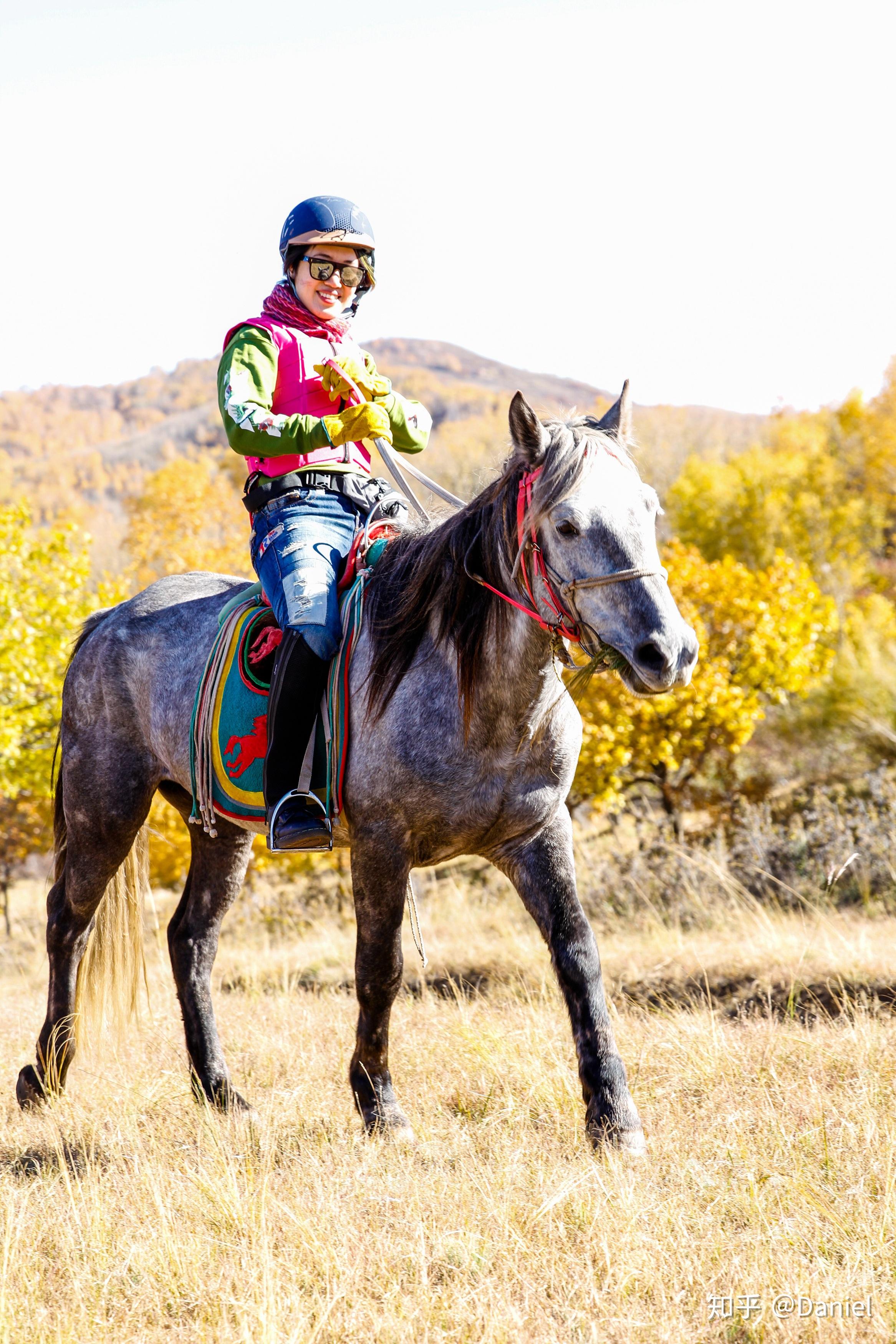 骑马旅行乌兰布统达里诺尔湖马背穿越