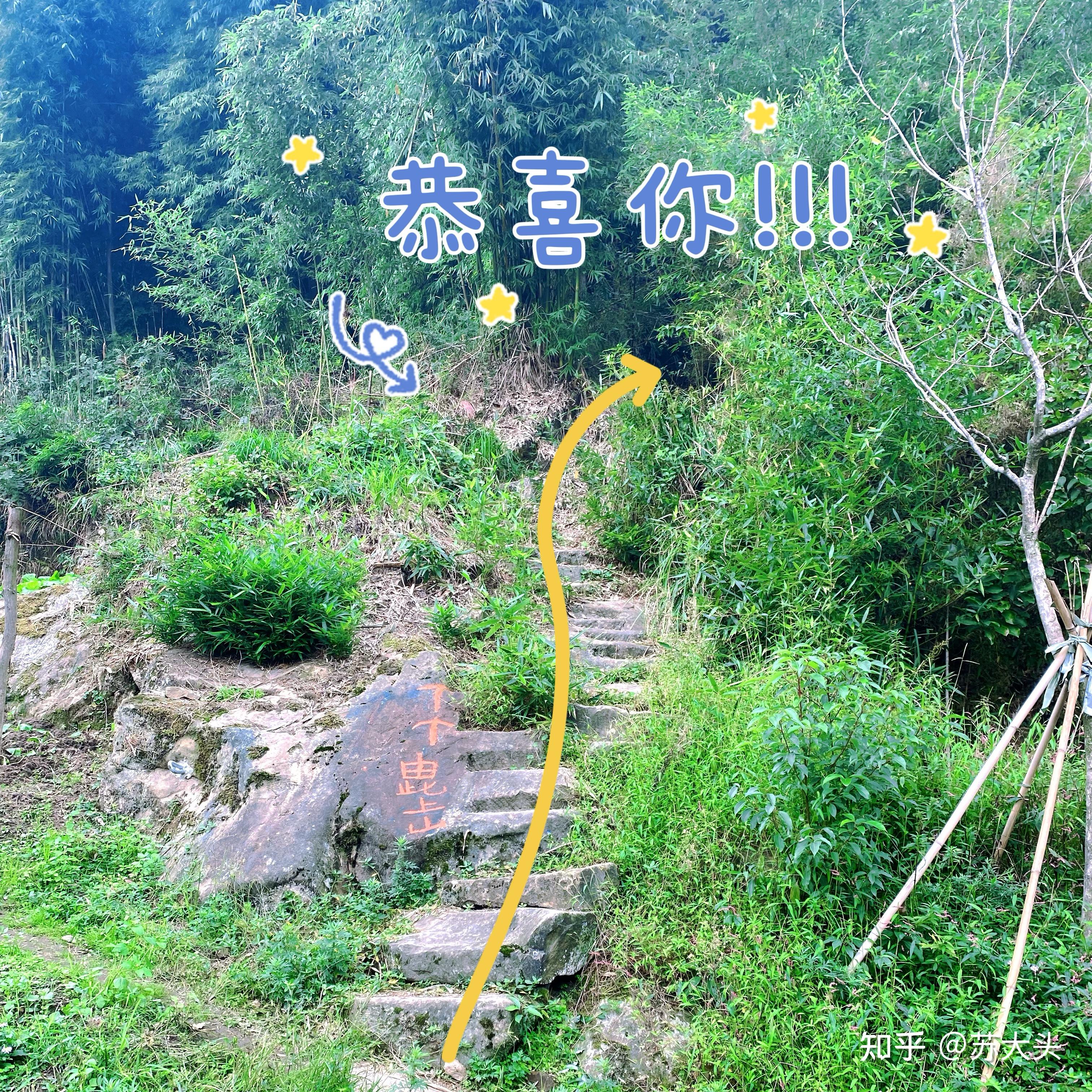 重庆徒步爬山圣地：缙云山免门票上山详细路线指引 - 知乎