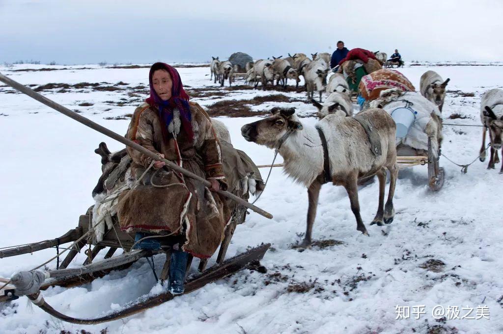 北极高纬度地区有哪些著名的人种如何生活的