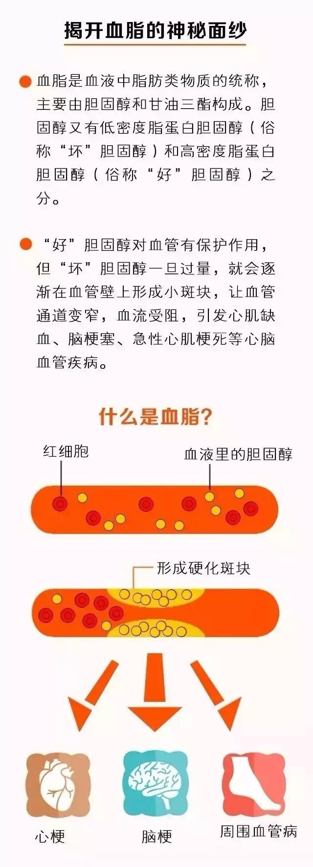 揭开高脂血症的神秘面纱看它是怎么摧毁心脏的