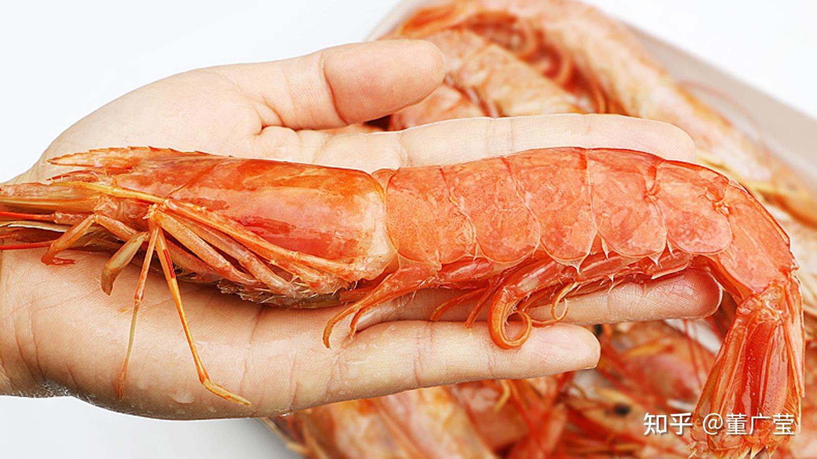 虾的种类有哪些？25种常见虾，河虾海虾哪种最好吃？你吃过哪几种？_对虾