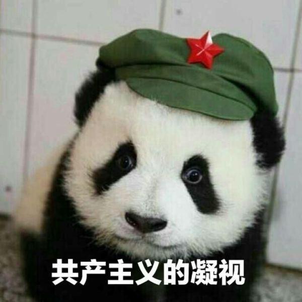 为什么中国没有趁苏联解体夺回远东?