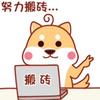 没有背景的投标者究竟死于哪个坑