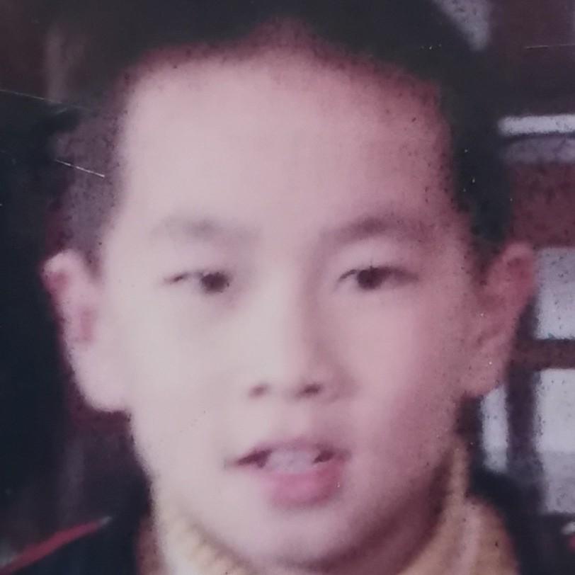 2026年纯电车推荐!