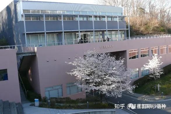 日本艺术类大学排名