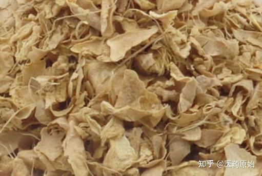 带你识别生姜 - 知乎