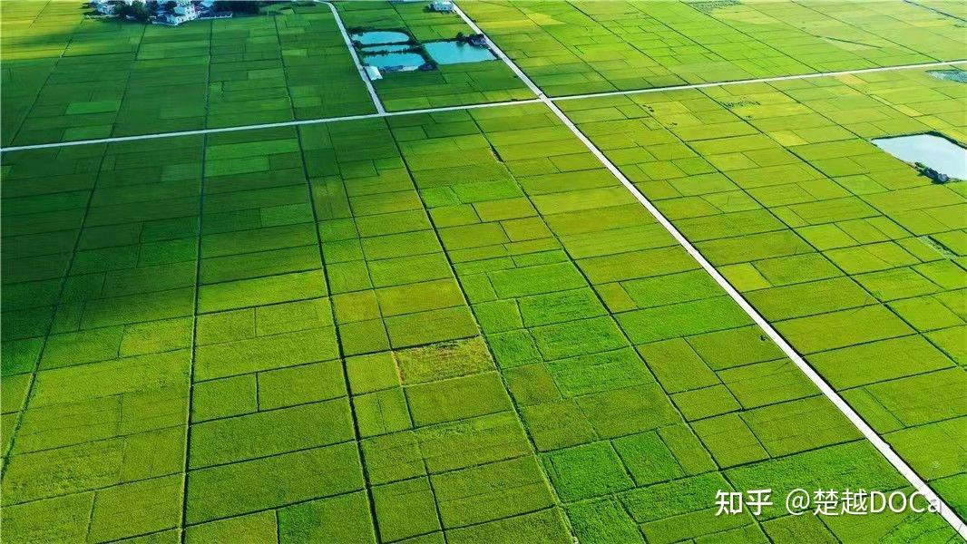 盆地内各平原区介绍