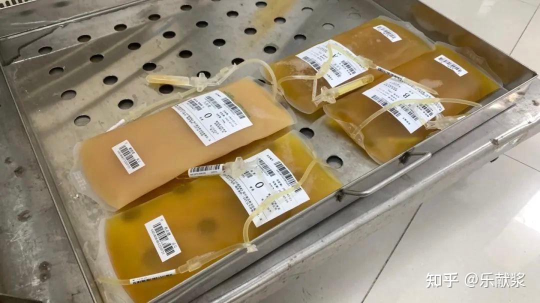 影视剧中的血浆是用什么做的? - 知乎
