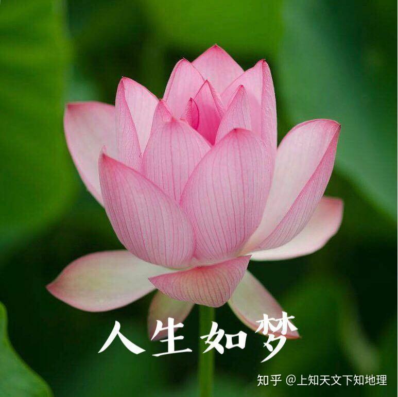 有哪些好看的头像