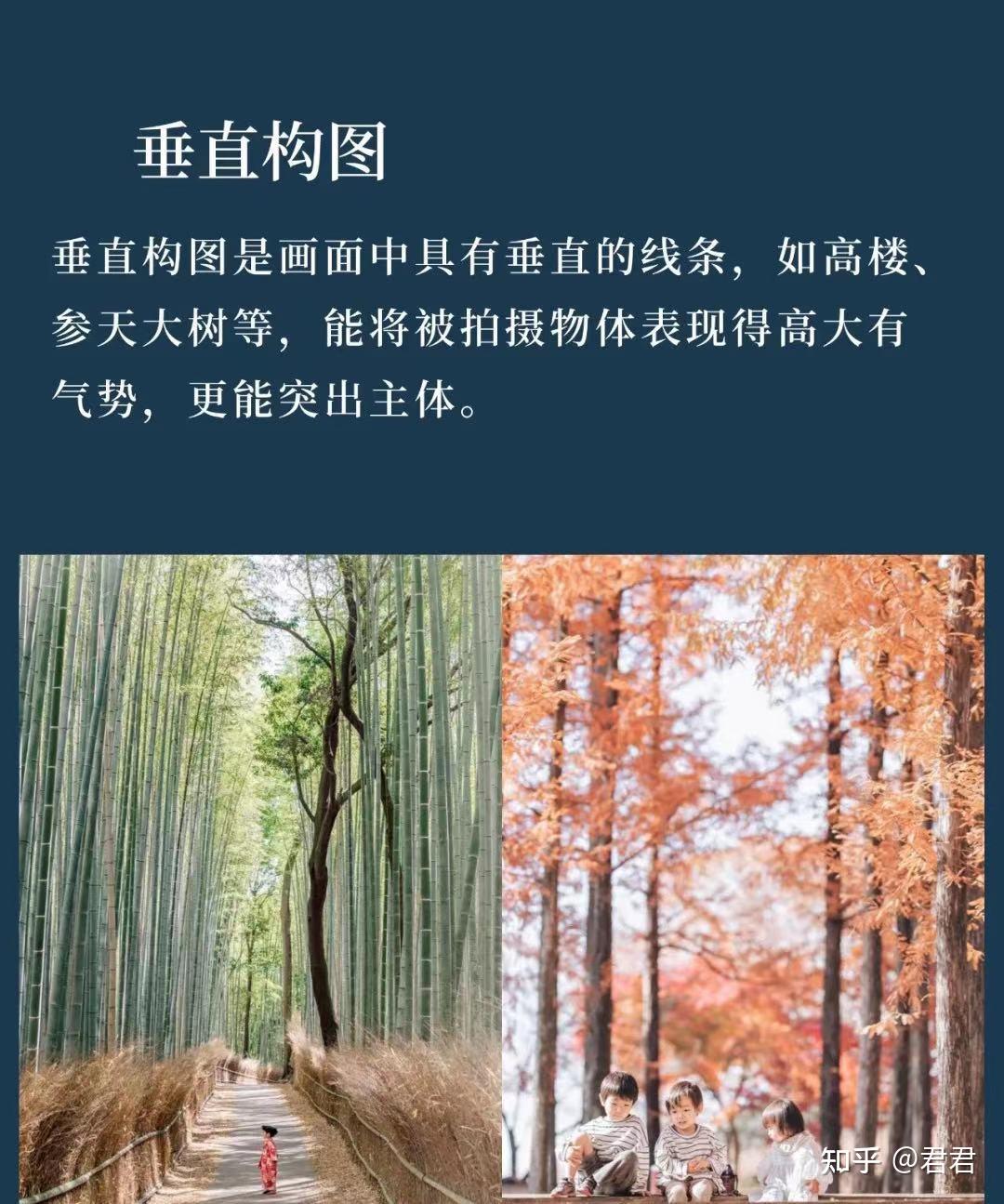 0基础学摄影摄影新手必备的7种构图