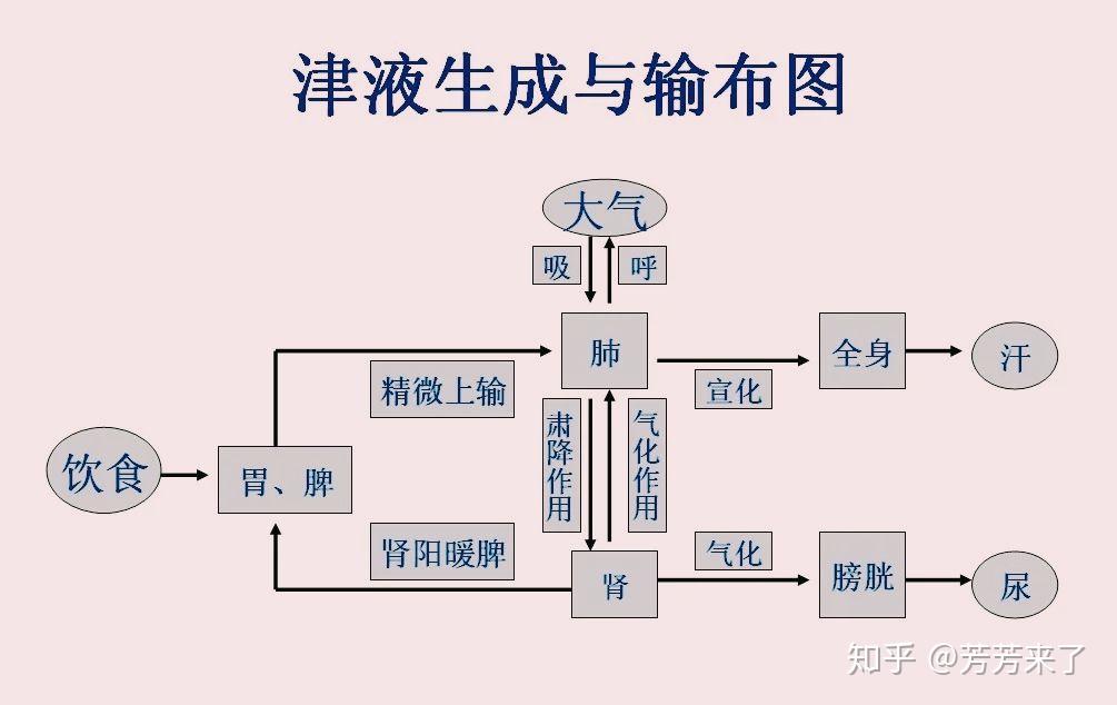 湿气重怎么办