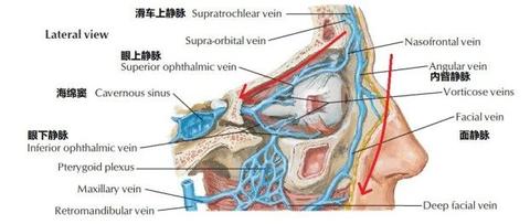所谓面部危险三角区的真相到底是什么
