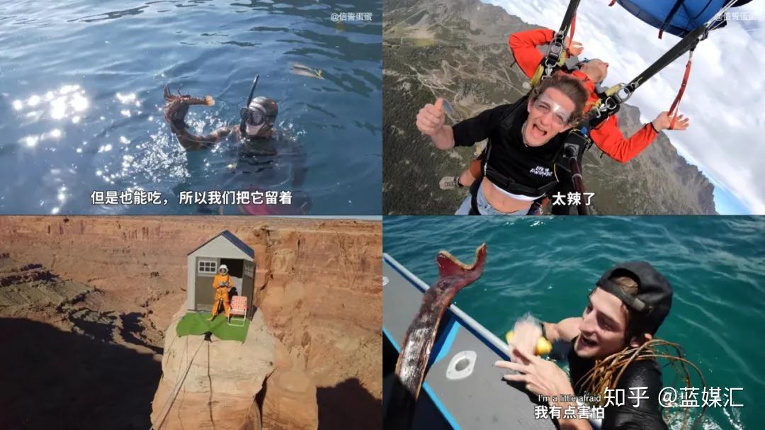 信誓蛋蛋抱住了西瓜视频职业经理人变身职业视频创作人