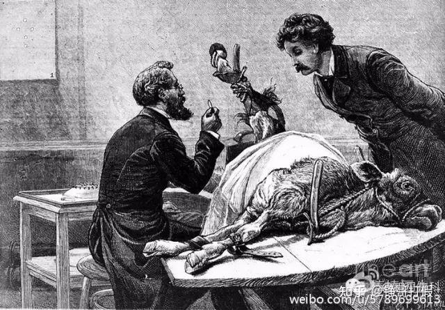 后来的"牛痘接种"这种外来技术能快速代替人痘术,正是因为在以上两个