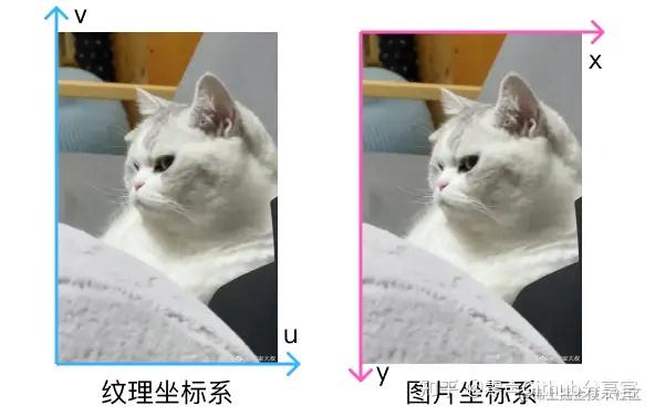 【Android音视频】OpenGL ES翻转拉伸问题 - 知乎
