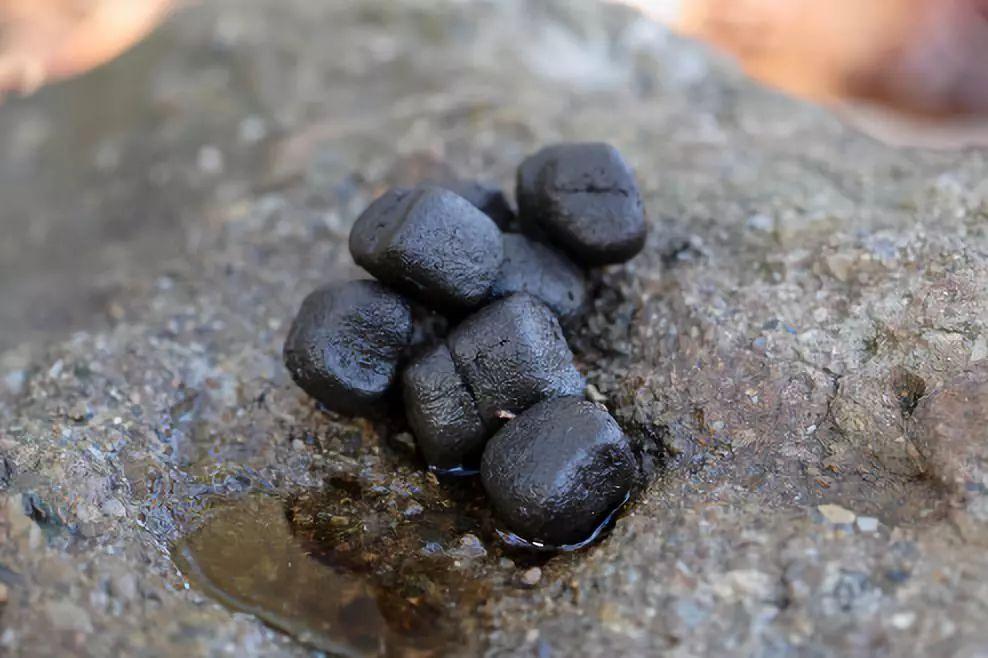 拉出来的便便是四方形的是一种怎样的体验