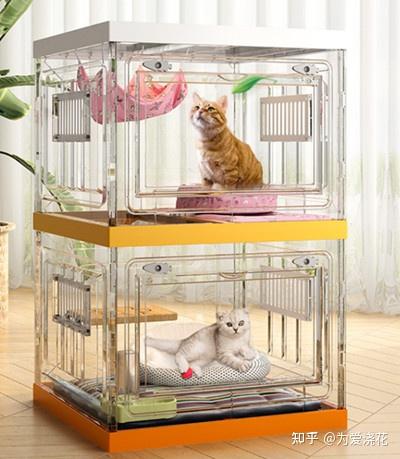 猫窝挑选注意事项 怎样为猫咪定制一个温暖的家 - 知乎