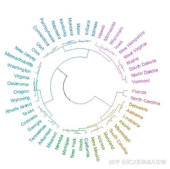 R语言绘制环形树状图 - 知乎