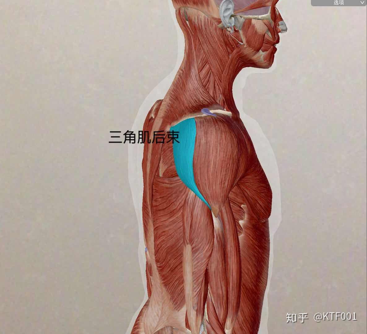 女性肩頸按摩PNG圖案素材免費下載，可愛卡通圖片，尺寸2465 × 1643px - Lovepik