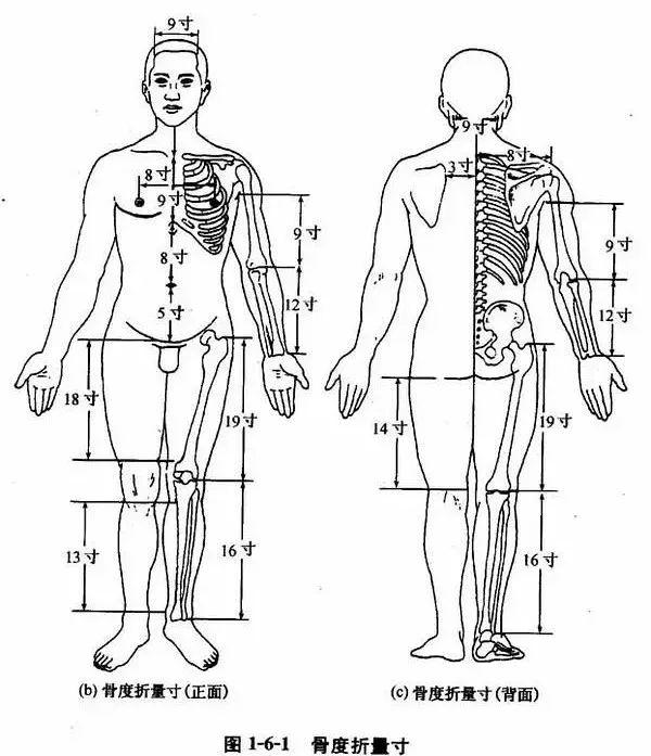 在人体有一些固定的明显标志