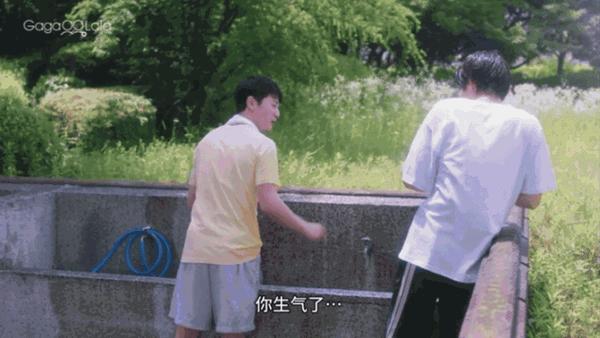 日剧《向阳之处必有声》豆瓣9.2!这新剧凭什么又火又好看?